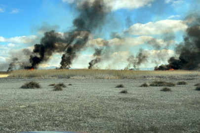 Sultan Sazlığı Milli Parkı'nda yangın