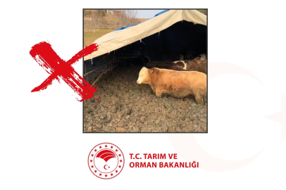 Bakanlıktan, işletmede hayvanlara kötü muameleye ceza
