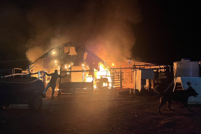 Kanatlı ve küçükbaş hayvan çiftliğinde yangın: 580 hayvan öldü