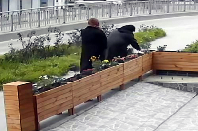 Bastonla geldi; iş yeri önündeki çiçekleri kökünden söküp çaldı