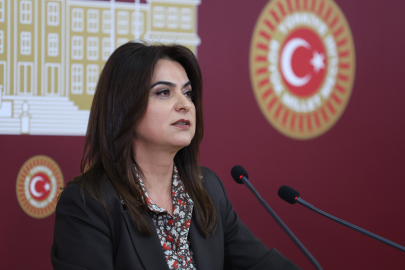 Koçyiğit: Hukuki düzenlemeler bütüncül şekilde hayata geçirilmeli