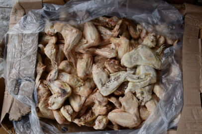 Şanlıurfa’da şok: 50 ton bozuk tavuk eti ele geçirildi