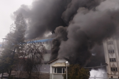 Trabzon'da fındık fabrikasında yangın