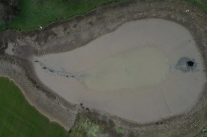 Göletin suyu boşalınca balıklar açıkta kaldı