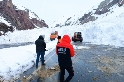 Çığ nedeniyle ulaşıma kapanmıştı: Van-Hakkari kara yolu açıldı