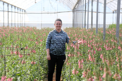 Antalya'dan Avrupa'ya yeni çiçek: Aslanağzı