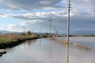 Menderes Nehri taştı, yol ulaşıma kapandı