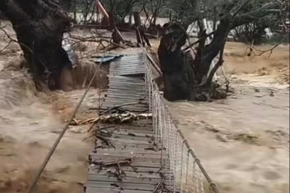 Yalova’da sağanak yağış: Dereler taştı, 5 büyükbaş öldü
