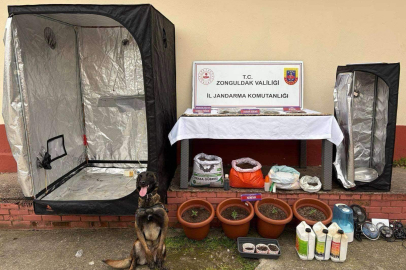 Zonguldak’ta uyuşturucu operasyonu; 8 tutuklama