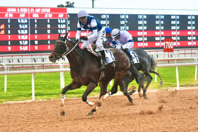 Adana’da Akdeniz Derbisi’nin kazananı Dapper Man oldu
