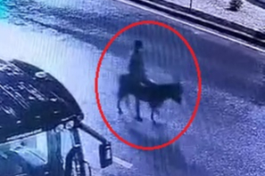 Kuyumcu dükkanından ziynet eşyası çalıp, eşekle kaçan sanığın verdiği zarar hesaplanacak