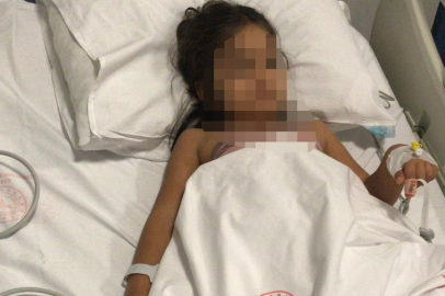 Ankara'da 2 kardeşi yaralayan pitbullun sahibinin annesi hakkında suç duyurusu kararı