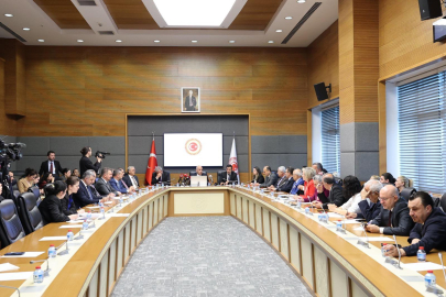 Müşavir Karaca: Sahipsiz sokak hayvanlarının yüzde 78'i toplandı