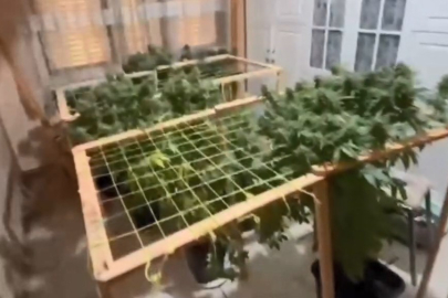 Pendik’te uyuşturucu operasyonu: 2 şüpheli tutuklandı