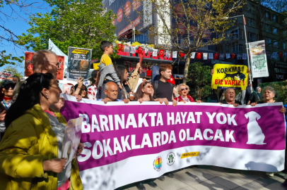 Ankara'da hayvanseverlerden yürüyüş