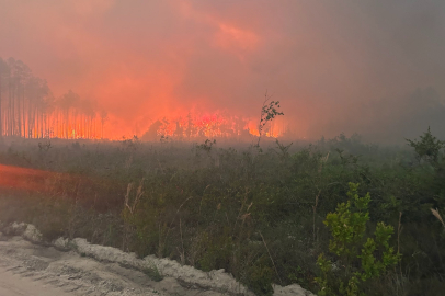 ABD'de orman yangınlarında 120'den fazla ev yandı