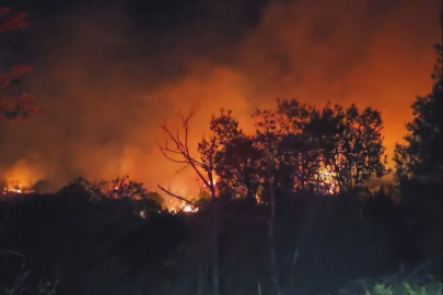 Beykoz'da ormanlık alanda korkutan yangın: Alevler yeniden yükseldi