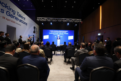 Türkiye'ye yatırım yapan 22 firmaya Turkuaz Kart