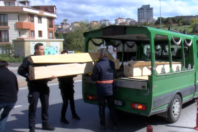 Maltepe'de ağaçlık alanda erkek cesedi bulundu