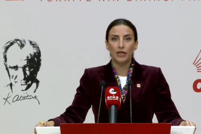 CHP'li Evrim Rızvanoğlu: Bu ülkenin ormanları sahipsiz değil