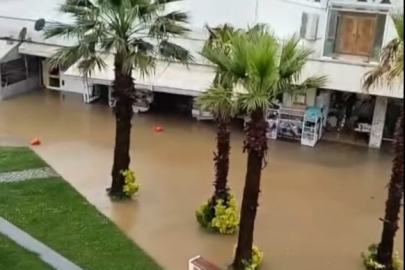 Düzce'de sağanak etkili oldu, ev ve işyerlerini su bastı
