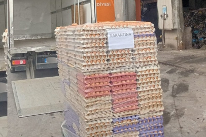 Sakarya’da 42 bin sahte organik etiketli yumurta imha edildi