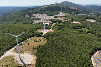 Akfen Yenilenebilir Enerji, karbon piyasalarındaki faaliyetlerini açıkladı
