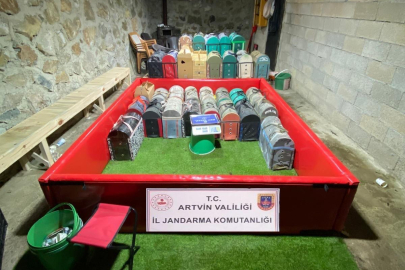 Artvin'de 'horoz dövüşü' operasyonu; 39 kişiye toplam 508 bin 248 TL ceza