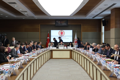 Türk Kızılay Kanunu Teklifi, TBMM'de komisyonda