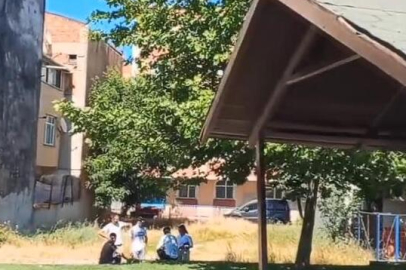 Sultangazi'de uçmasına yardım ettiği yavru karganın annesi saldırdı; başından yaralandı