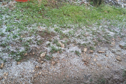 Manisa'da dolu yağışı tarım alanlarına zarar verdi