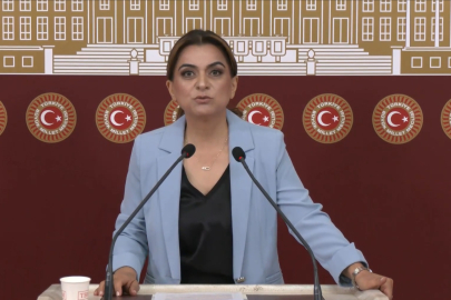 DEM Parti'li Koçyiğit: Barışın hukuksal bir güvenceye ihtiyacı var