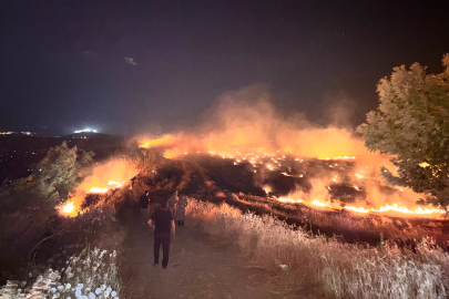 Hatay'da anız yangını, zeytin bahçeleri zarar gördü