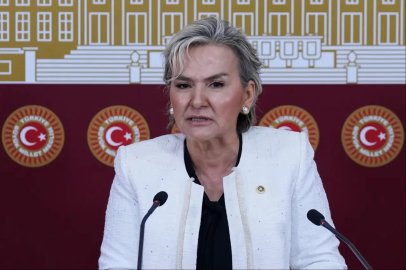 İYİ Parti'den istifa edip CHP'ye geçen Nimet Özdemir, CHP'den de istifa etti